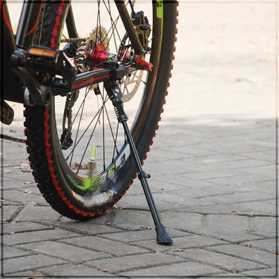 kickstand for 29er with disc brakes